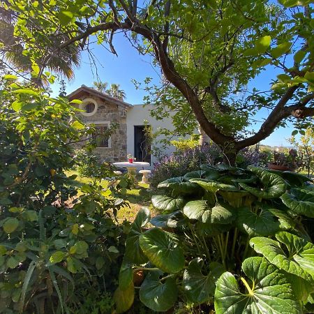 "Giardino Fiorito" Villa Gizzeria Kültér fotó