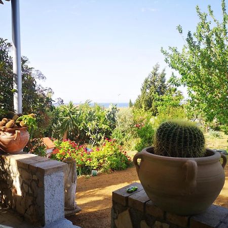 "Giardino Fiorito" Villa Gizzeria Kültér fotó