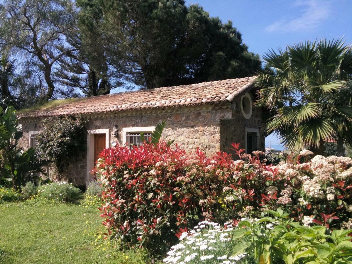 "Giardino Fiorito" Villa Gizzeria Kültér fotó